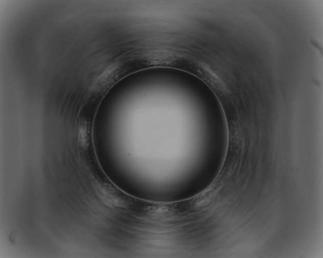 X0000093230074200709261700