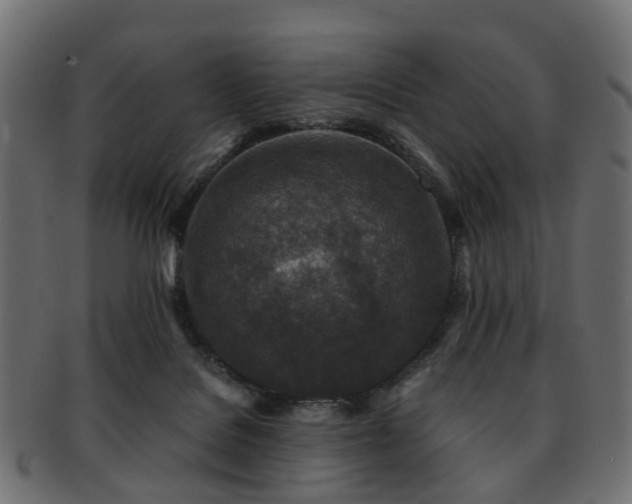 X0000093230076200709261700