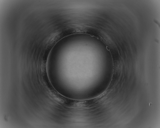 X0000093230078200709261700