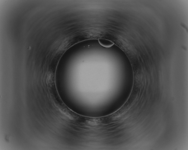 X0000093230079200709261700