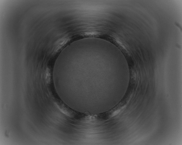 X0000093230080200709261700
