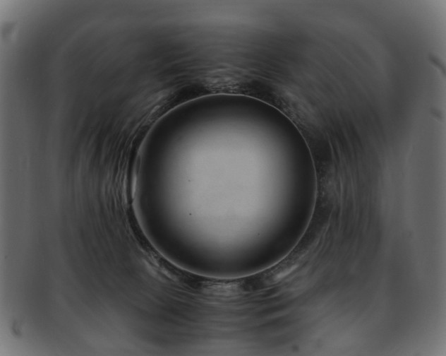 X0000093230081200709261700