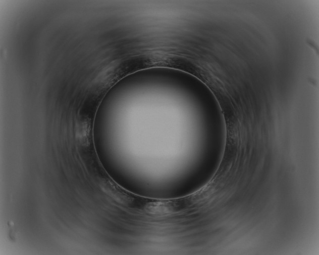 X0000093230082200709261700