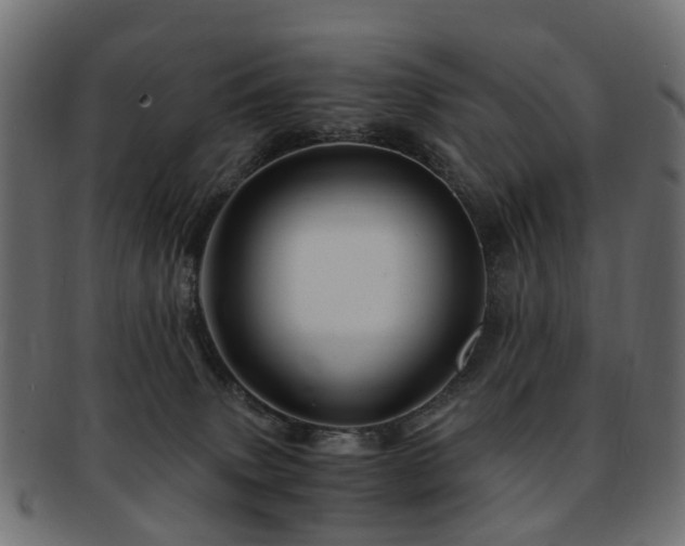 X0000093230083200709261700
