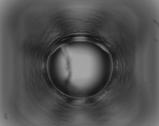 X0000093230084200709261700
