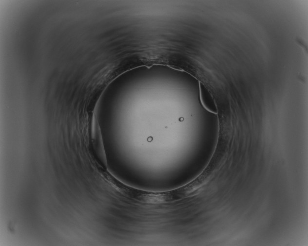 X0000093230085200709261700