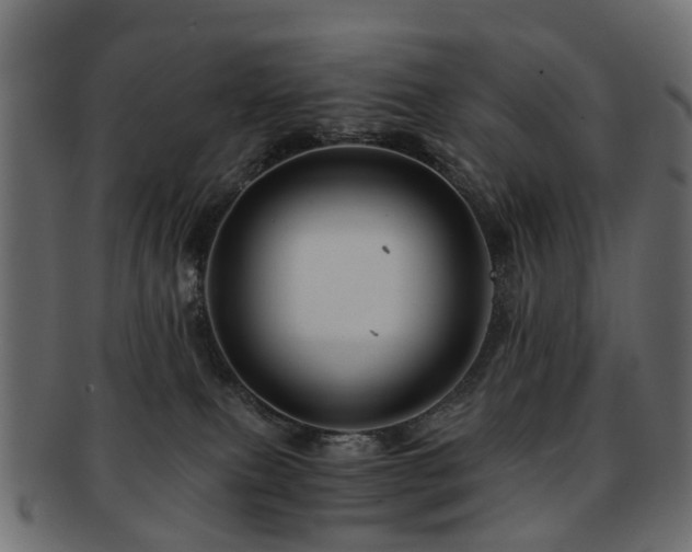 X0000093230087200709261700