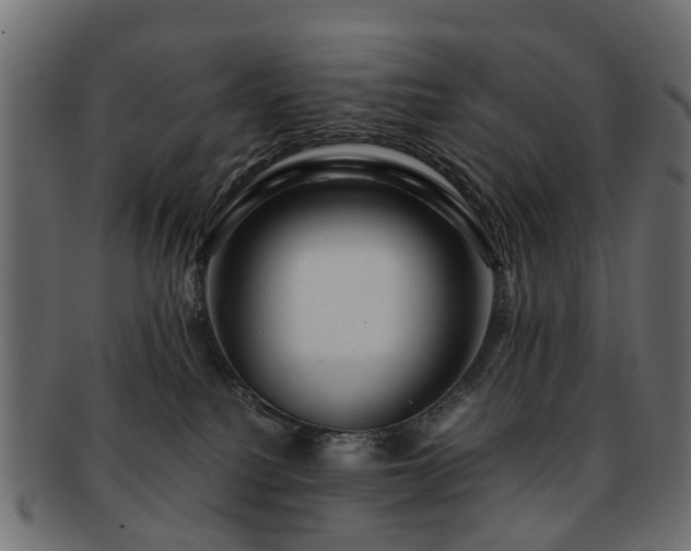 X0000093230088200709261700