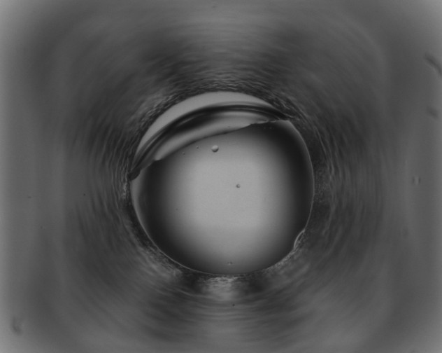 X0000093230090200709261700