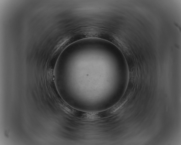 X0000093230093200709261700