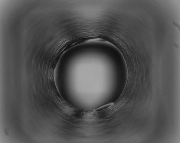 X0000093230096200709261700