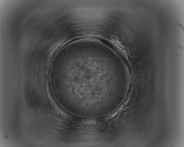 X0000093230097200709261700