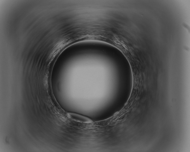 X0000093230098200709261700