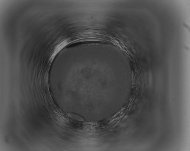X0000093230099200709261700