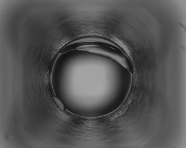 X0000093230105200709261700