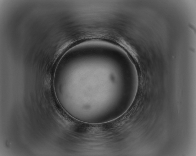 X0000093230107200709261700