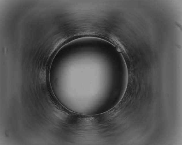 X0000093230108200709261700