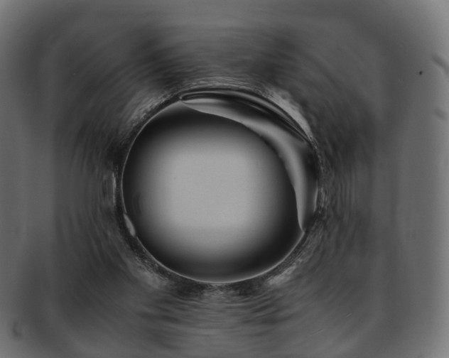 X0000093230109200709261700