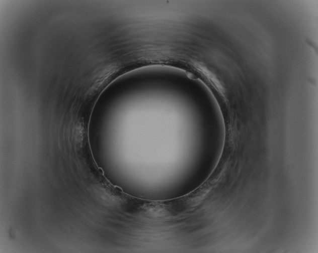 X0000093230113200709261700