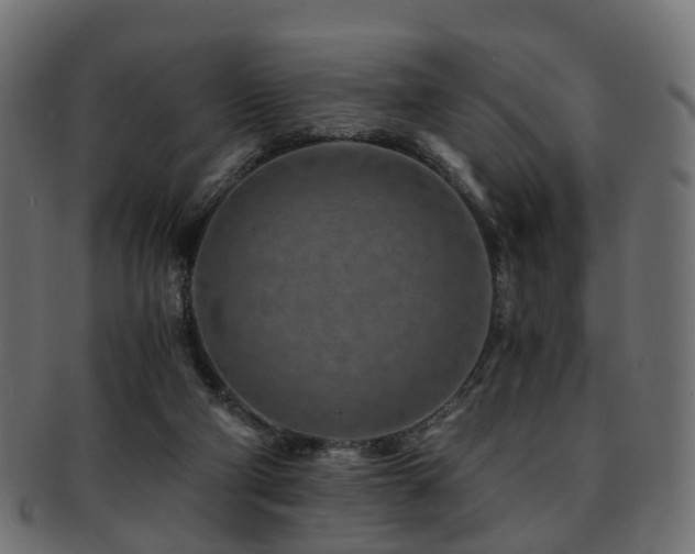 X0000093230114200709261700