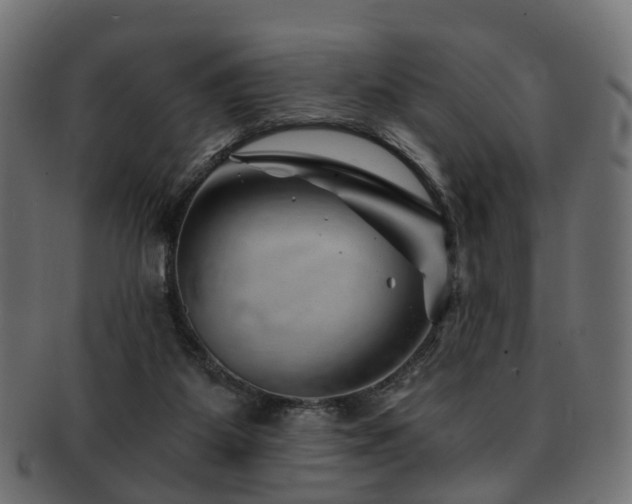 X0000093230115200709261700