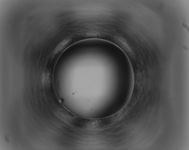 X0000093230116200709261700