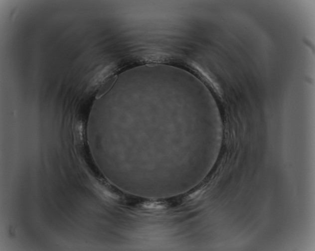 X0000093230117200709261700