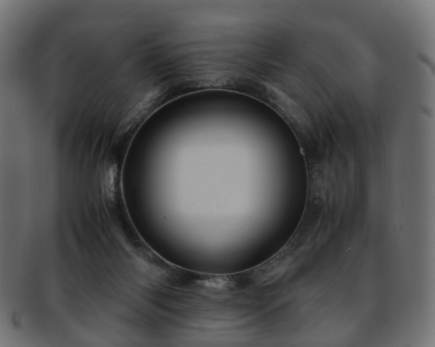 X0000093230118200709261700