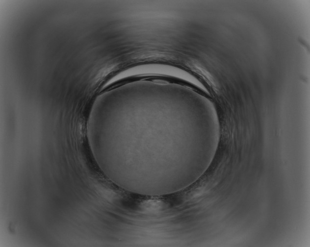 X0000093230119200709261700