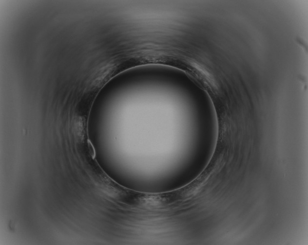 X0000093230121200709261700