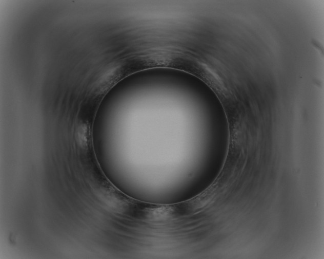 X0000093230122200709261700