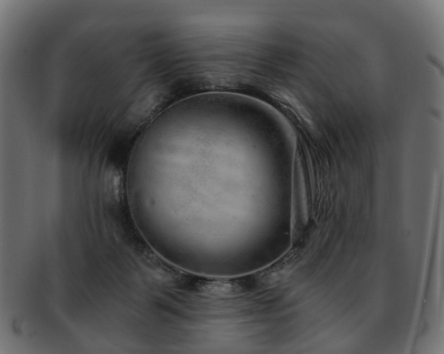 X0000093230123200709261659