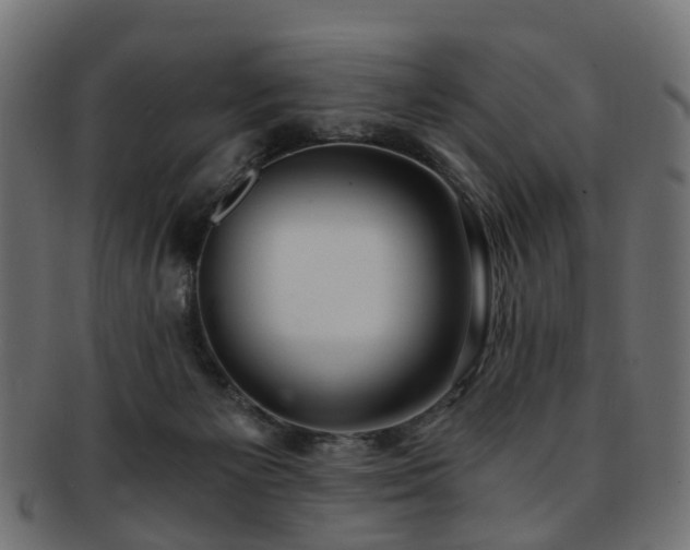 X0000093230125200709261659