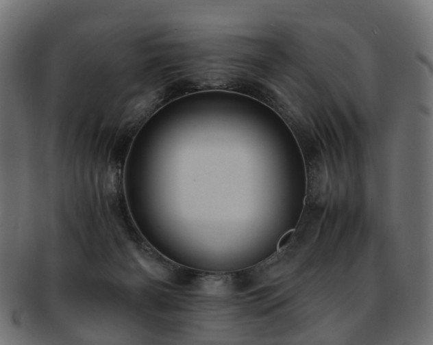 X0000093230126200709261659