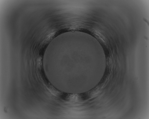 X0000093230127200709261659