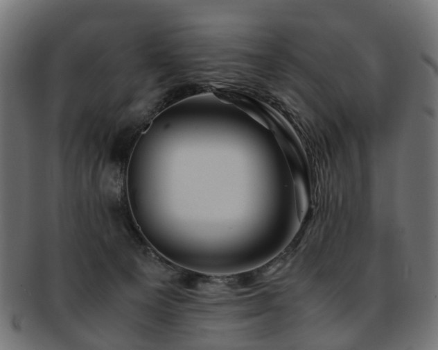 X0000093230129200709261659