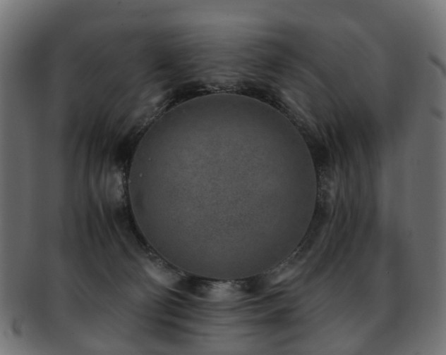 X0000093230130200709261659