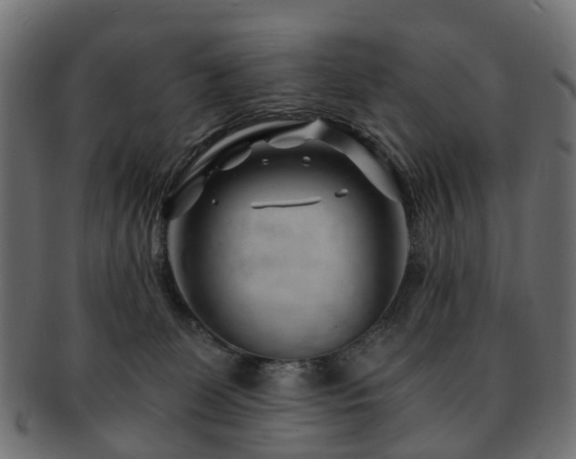 X0000093230131200709261659