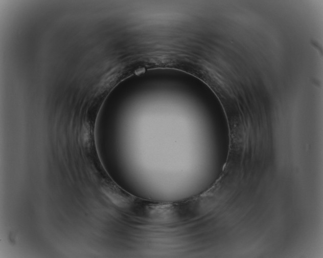 X0000093230132200709261659