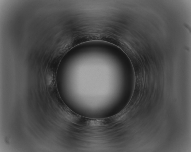 X0000093230134200709261659