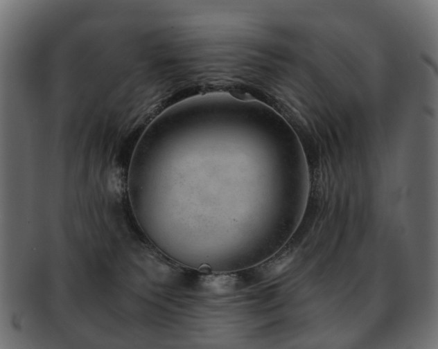X0000093230135200709261659
