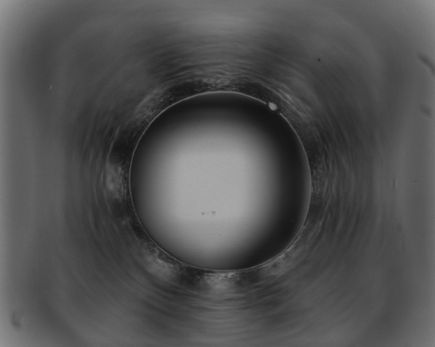 X0000093230136200709261659