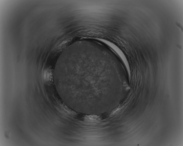 X0000093230137200709261659