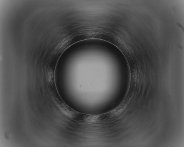 X0000093230138200709261659