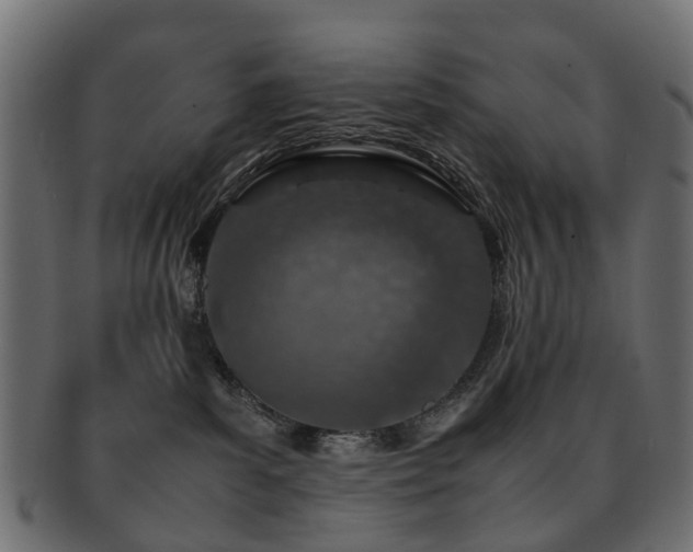 X0000093230139200709261659