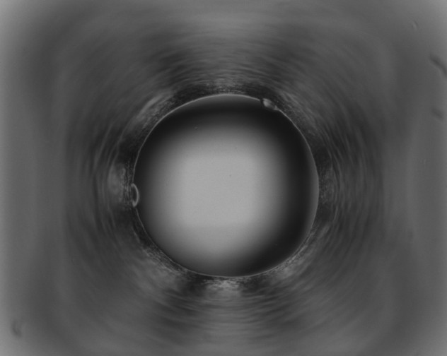 X0000093230140200709261659