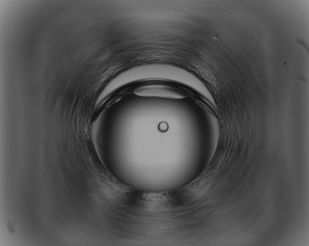 X0000093230141200709261659