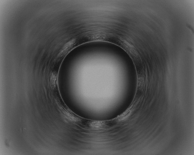 X0000093230142200709261659