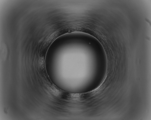X0000093230144200709261659