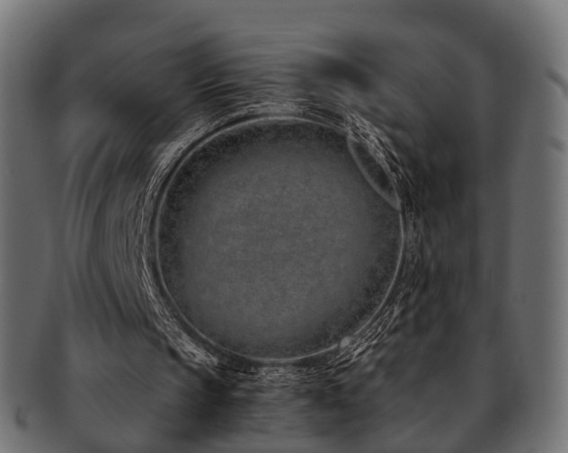 X0000093230145200709261658
